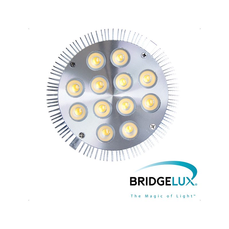 Žarulja E27 PAR38 LED dimabilna 12x 1W topla bijela (Bridgelux led) X-LIGHT Cijena Akcija
