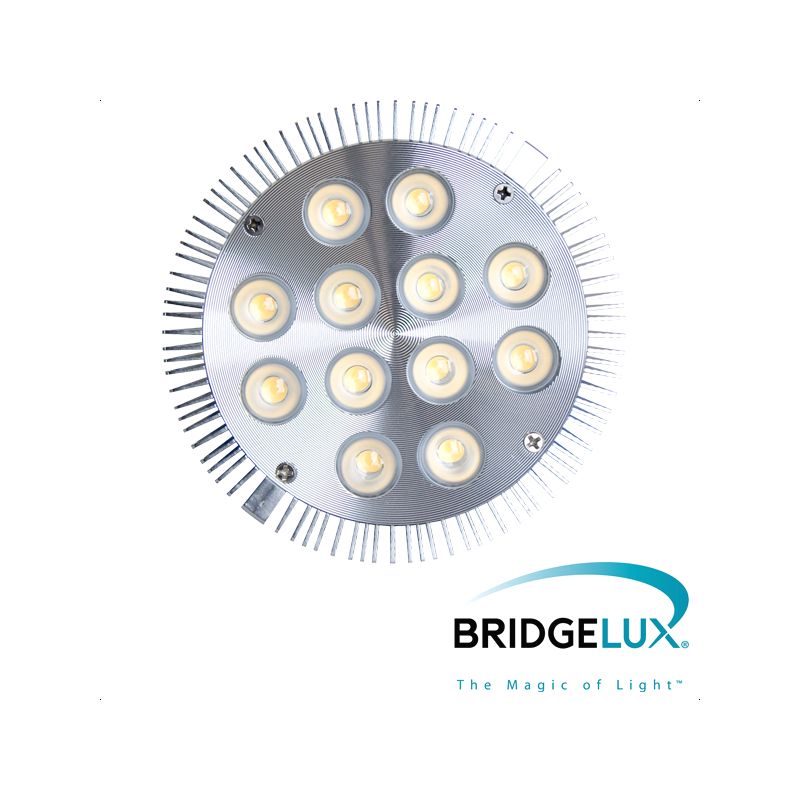 Žarulja E27 PAR38 LED dimabilna 12x 1W hladna bijela (Bridgelux led) X-LIGHT Cijena