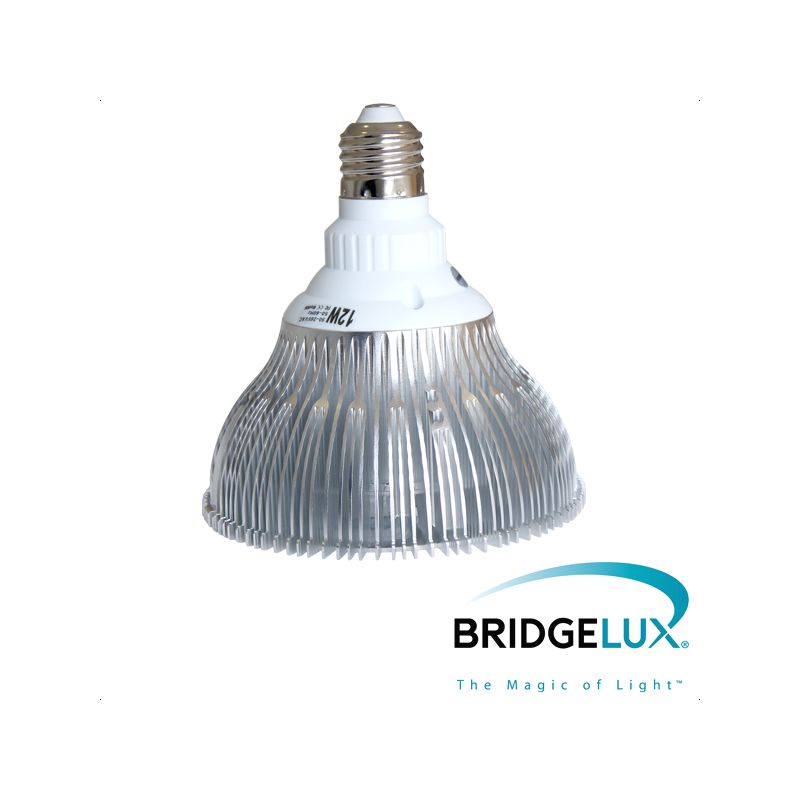 Žarulja E27 PAR38 LED dimabilna 12x 1W topla bijela (Bridgelux led) X-LIGHT Cijena Akcija