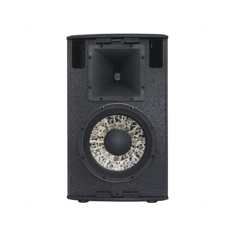 Zvučna kutija/monitor HQM10 PRO 300W/600W SUIM Cijena Akcija
